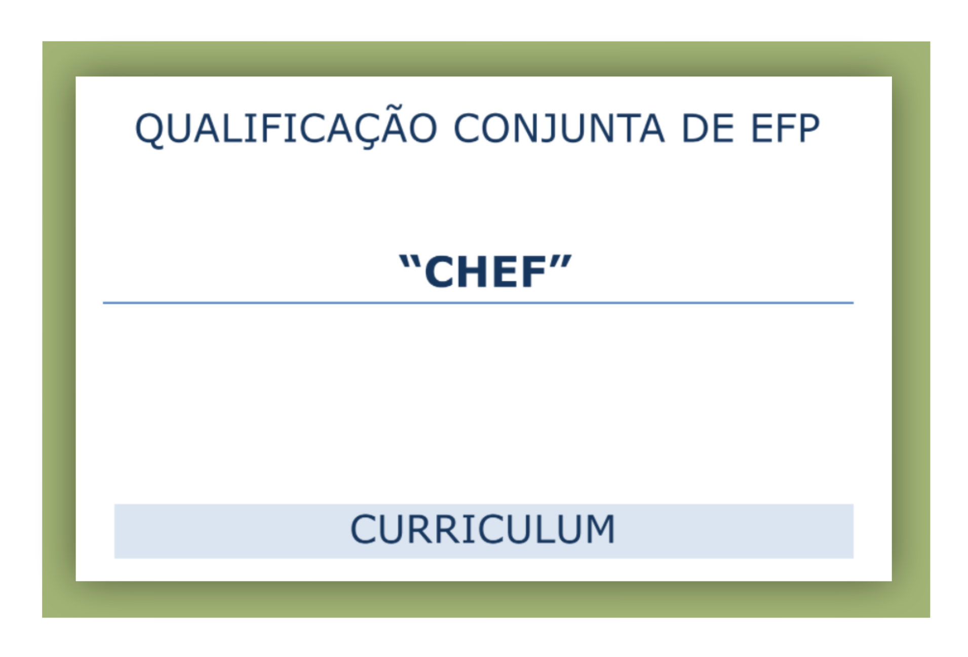 Curriculum