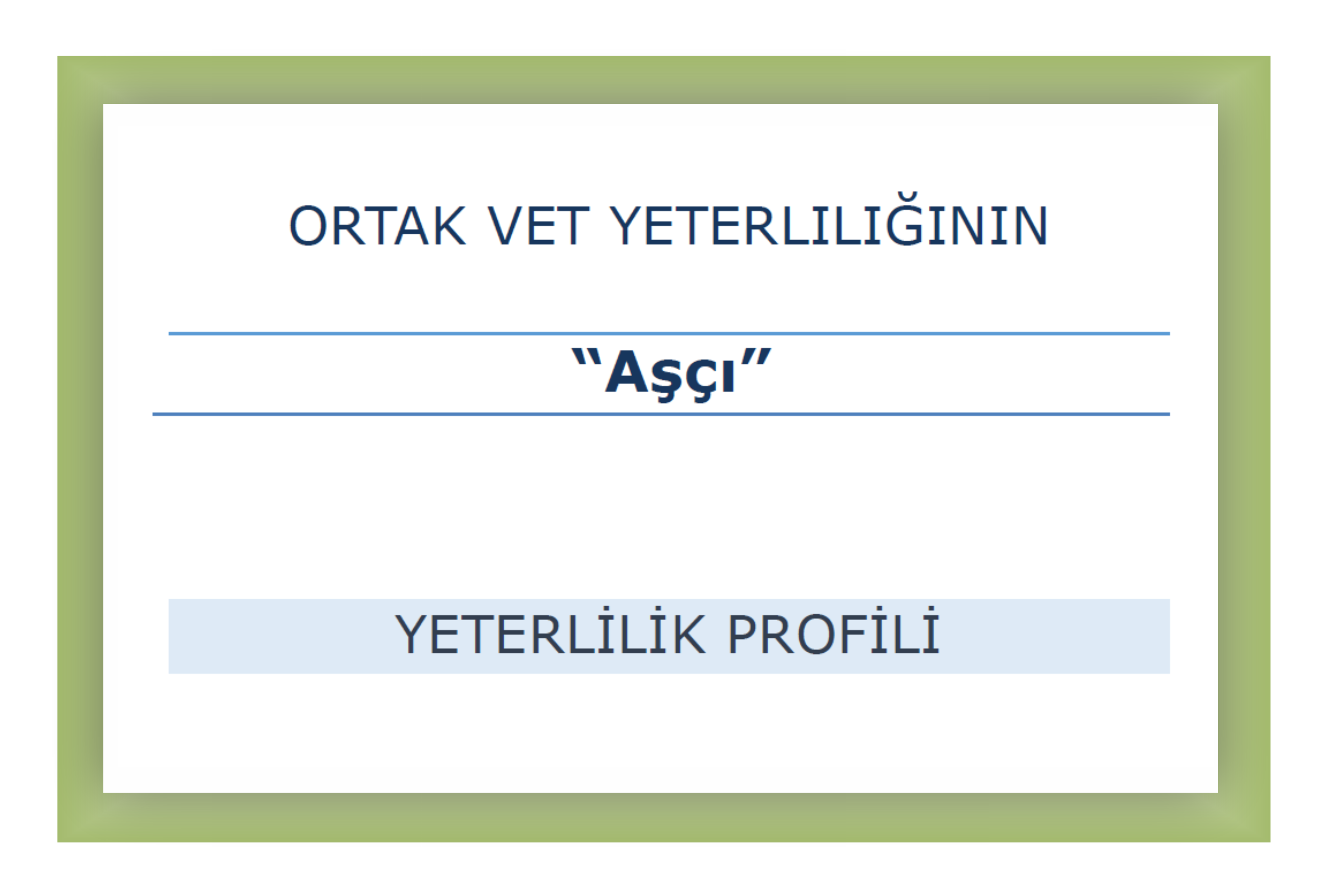 Yeterlilik profili