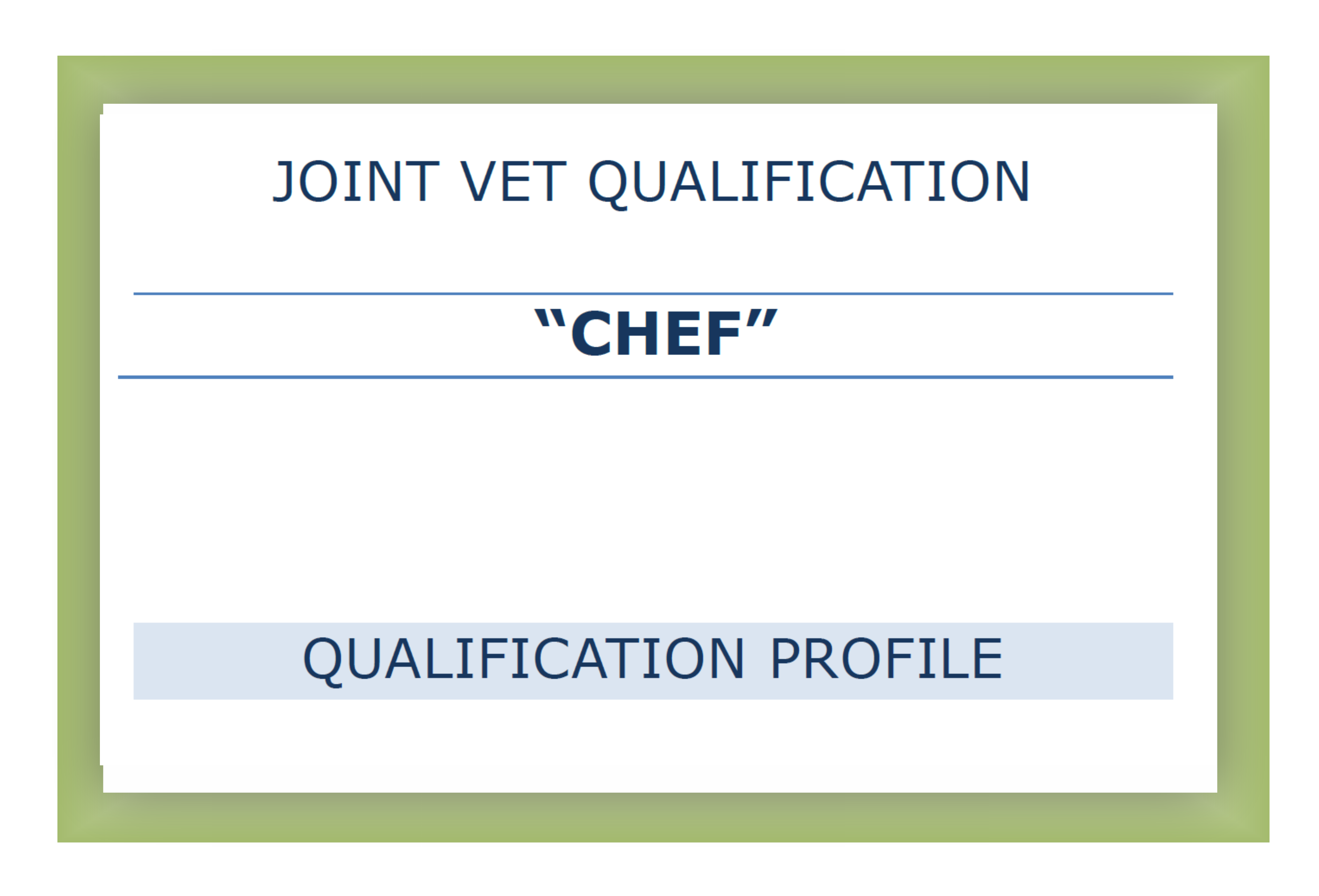 Qualification profile